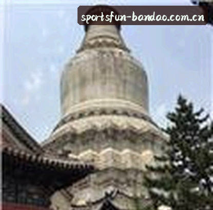 孙涛